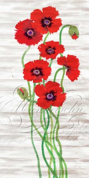 Red Poppy Panel II by Tim O'Toole Oil Painting