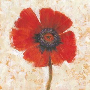 Red Poppy Portrait I by Tim O'Toole Oil Painting