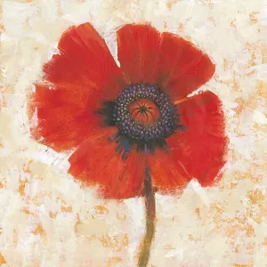 Red Poppy Portrait I by Tim O'Toole Oil Painting