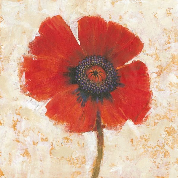 Red Poppy Portrait I by Tim O'Toole - Hand-Painted Oil Painting Reproduction