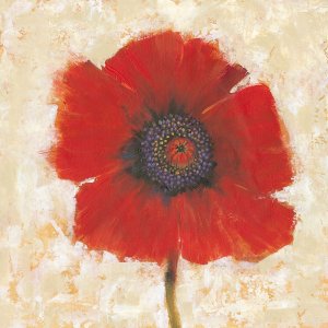 Red Poppy Portrait II by Tim O'Toole Oil Painting