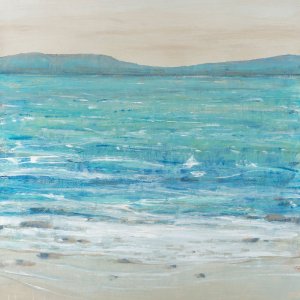 Reef Edge I by Tim O'Toole Oil Painting