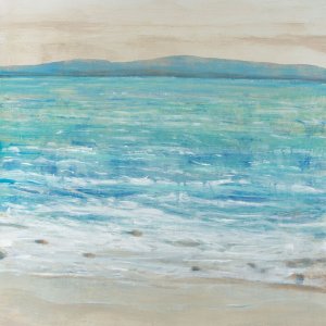 Reef Edge II by Tim O'Toole Oil Painting