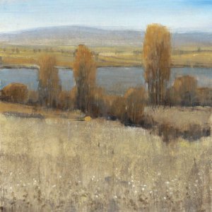 River Valley II by Tim O'Toole Oil Painting
