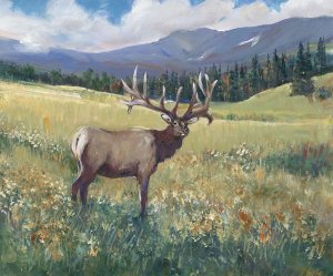 Rocky Mountain Elk I by Tim O'Toole Oil Painting