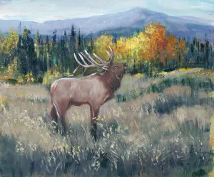 Rocky Mountain Elk II by Tim O'Toole Oil Painting