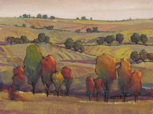 Rolling Hills I by Tim O'Toole Oil Painting