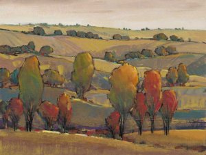 Rolling Hills II Oil Painting by Tim O'Toole - Contemporary