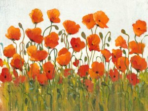Rows of Poppies I by Tim O'Toole Oil Painting