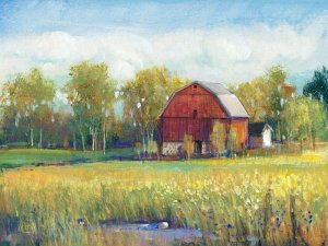 Rural America I by Tim O'Toole Oil Painting