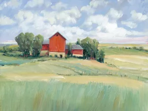 Rural Farmland II by Tim O'Toole Oil Painting