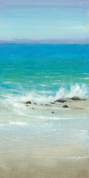 Salt Spray I by Tim O'Toole Oil Painting