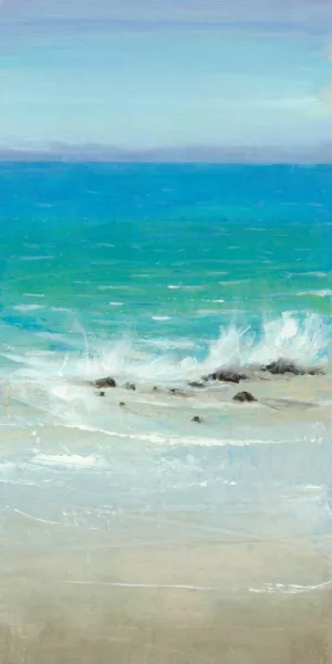 Salt Spray I by Tim O'Toole Oil Painting