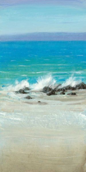 Salt Spray II by Tim O'Toole Oil Painting