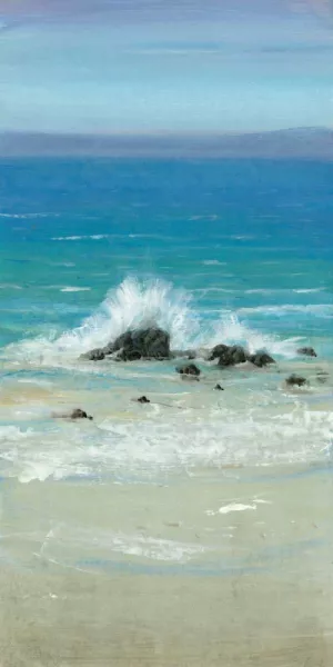 Salt Spray III Oil Painting by Tim O'Toole - Contemporary