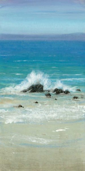 Salt Spray III by Tim O'Toole - Hand-Painted Oil Painting Reproduction