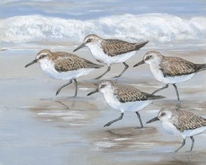 Sandpipers I by Tim O'Toole Oil Painting