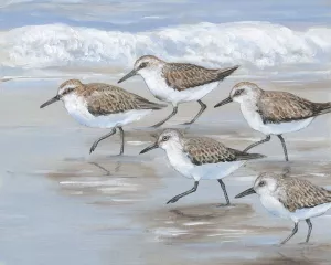Sandpipers I Oil Painting by Tim O'Toole - Contemporary