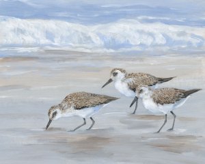 Sandpipers II by Tim O'Toole Oil Painting