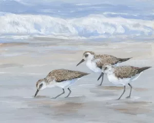Sandpipers II Oil Painting by Tim O'Toole - Bestsellers