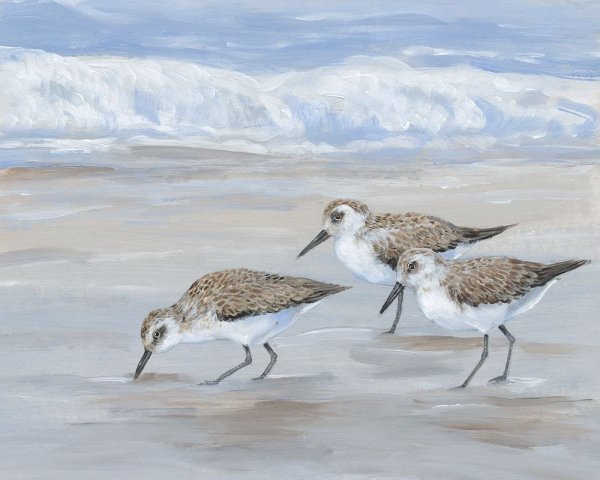 Main Product Photo of Sandpipers II Painting by Tim O'Toole