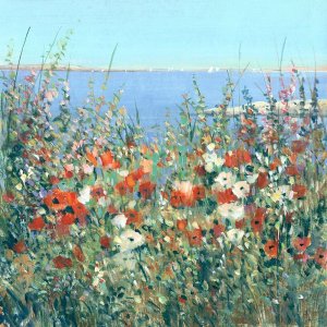 Seaside Garden I by Tim O'Toole Oil Painting