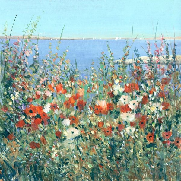 Main Product Photo of Seaside Garden I Painting by Tim O'Toole