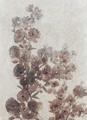 Sepia Flower Study I by Tim O'Toole Oil Painting