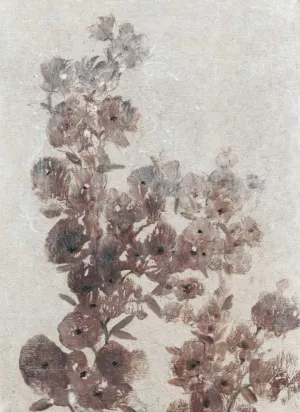 Sepia Flower Study I by Tim O'Toole Oil Painting