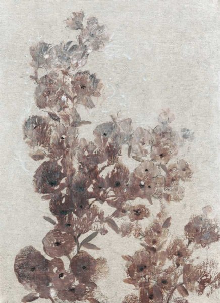 Sepia Flower Study I by Tim O'Toole - Hand-Painted Oil Painting Reproduction