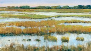 Serene Marshland I by Tim O'Toole Oil Painting