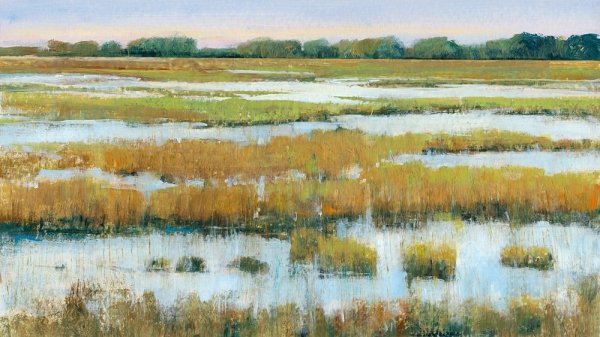 Serene Marshland I by Tim O'Toole - Hand-Painted Oil Painting Reproduction