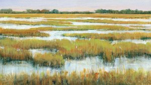 Serene Marshland II by Tim O'Toole Oil Painting