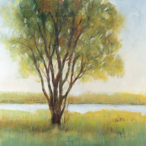 Shade Tree I Oil Painting by Tim O'Toole - Contemporary