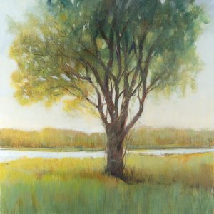 Shade Tree II Oil Painting by Tim O'Toole - Contemporary