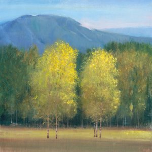 Shaft of Light I Oil Painting by Tim O'Toole - Contemporary