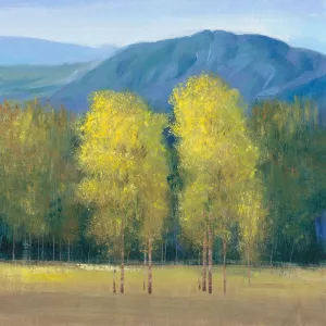 Shaft of Light II Oil Painting by Tim O'Toole - Contemporary