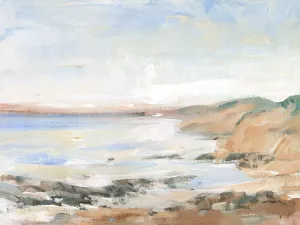 Shoreline Study II Oil painting by Tim O'Toole