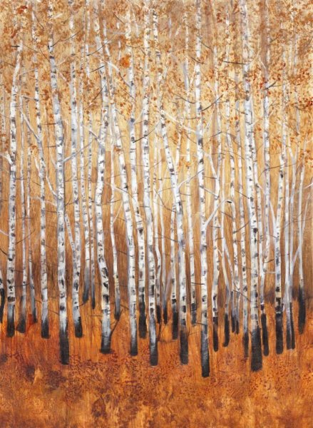 Main Product Photo of Sienna Birches I Painting by Tim O'Toole