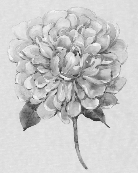 Main Product Photo of Silvertone Floral I Painting by Tim O'Toole