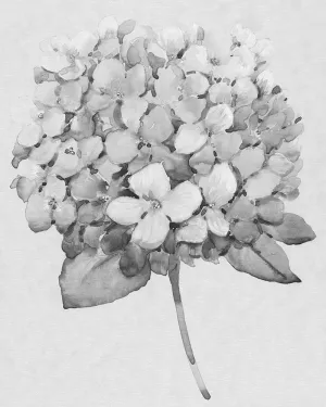Silvertone Floral II by Tim O'Toole Oil Painting