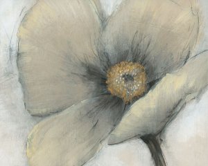 Single Cream Bloom I by Tim O'Toole Oil Painting