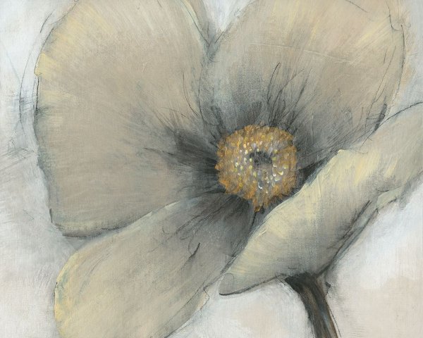 Single Cream Bloom I by Tim O'Toole - Hand-Painted Oil Painting Reproduction