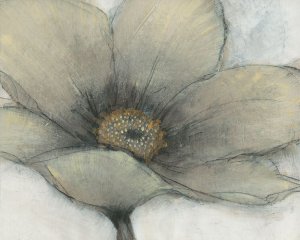 Single Cream Bloom II by Tim O'Toole Oil Painting