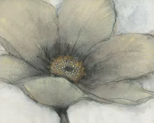 Single Cream Bloom II by Tim O'Toole Oil Painting