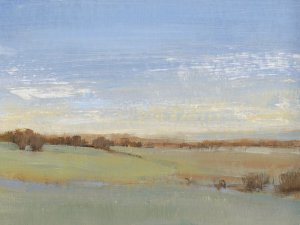 Soft Afternoon II by Tim O'Toole Oil Painting