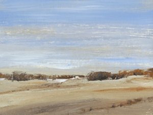 Soft Afternoon III by Tim O'Toole Oil Painting