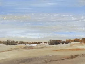 Soft Afternoon III by Tim O'Toole Oil Painting