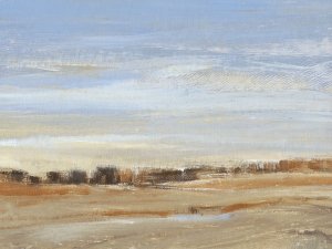 Soft Afternoon IV by Tim O'Toole Oil Painting