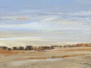 Soft Afternoon IV by Tim O'Toole Oil Painting
